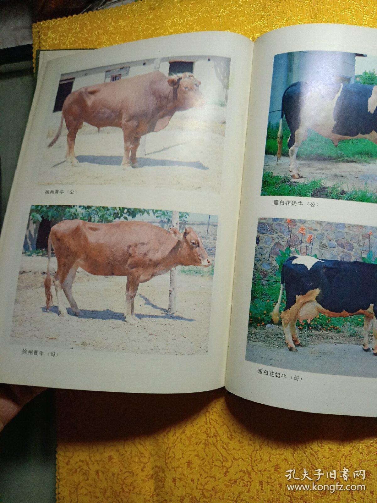 江苏省家畜家禽品种志与工艺品 自然与人文的交融