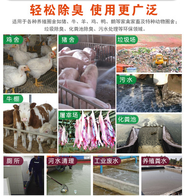 养兔场中的氨气与臭味对兔类生长的影响