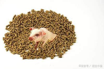 老农严选的困境 剖析优质家禽家畜农产品“卖难”背后的深层原因